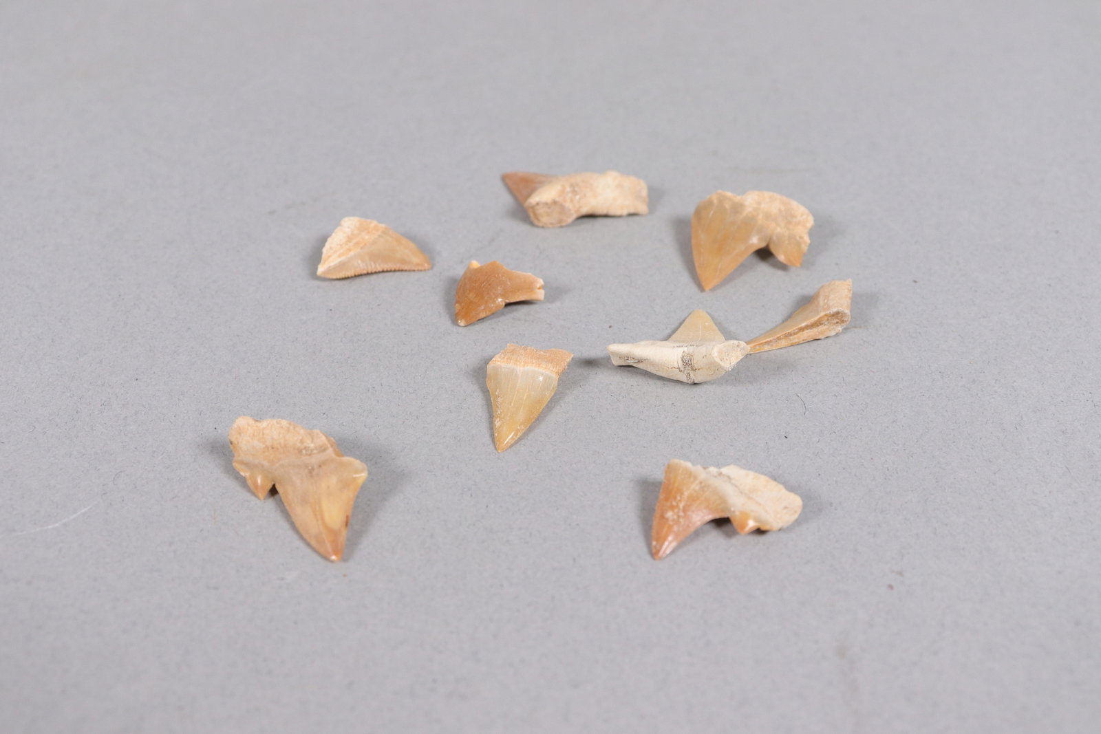 Lots fine fragments - 4