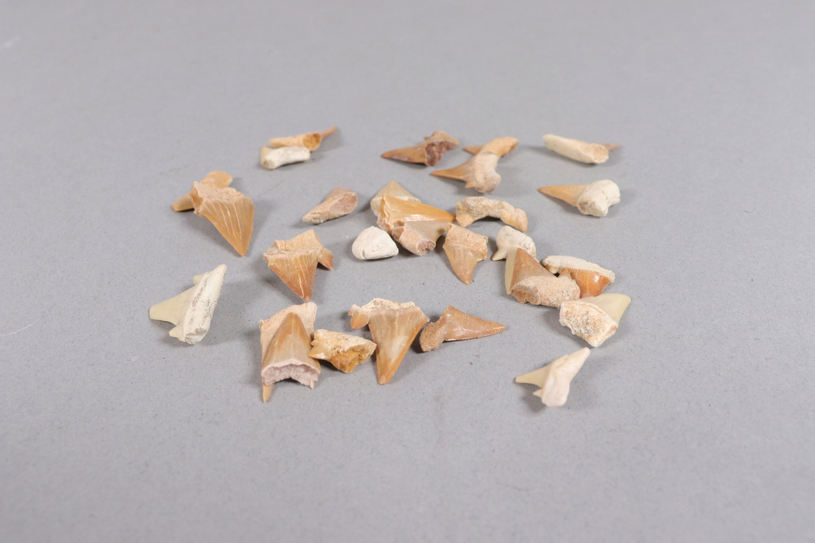 Lots fine fragments - 5