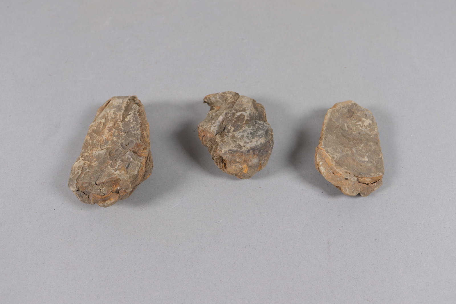 Lots fine fossilized items - 6