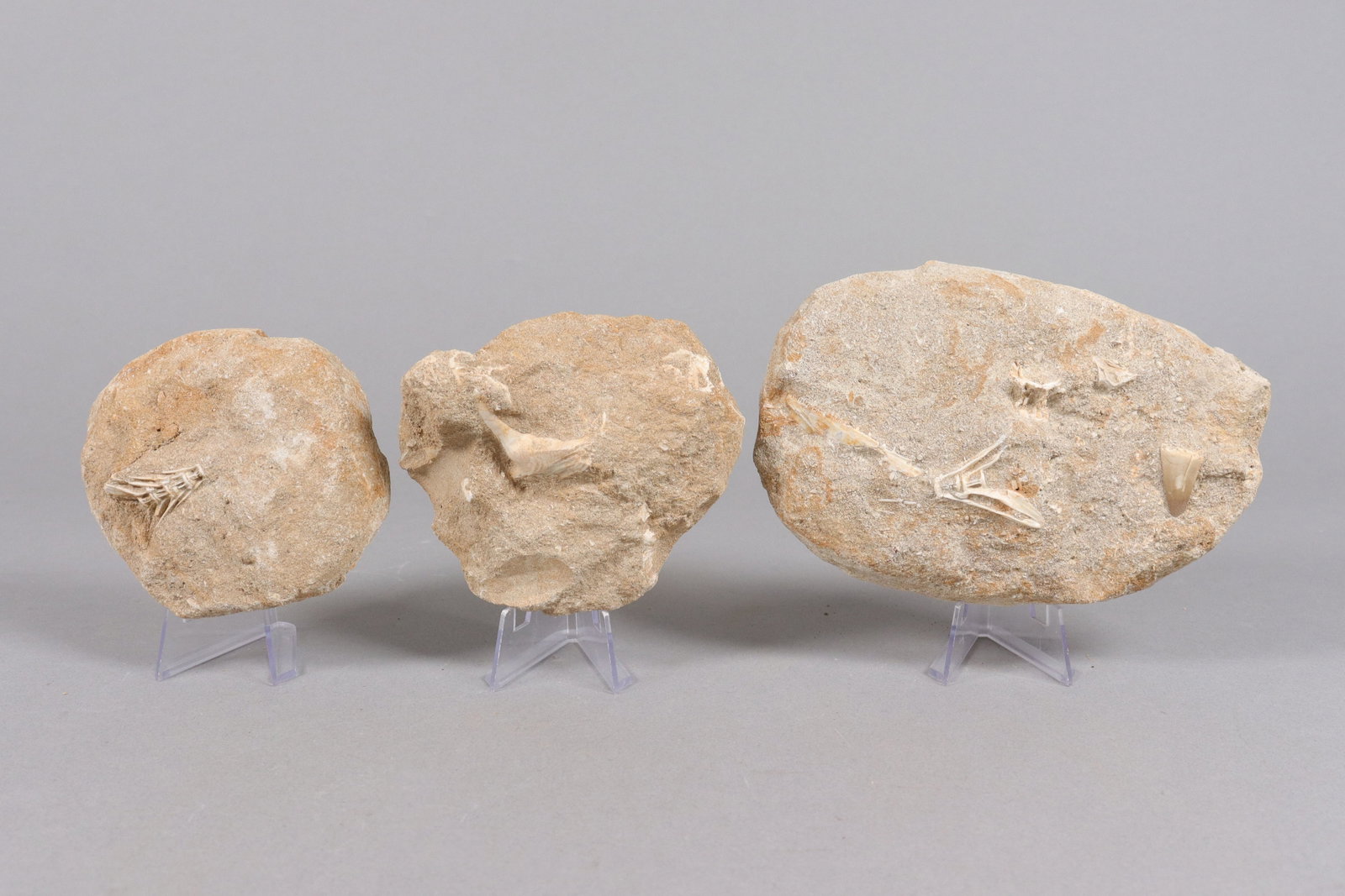 Lots estate heavy boulders: Lots estate heavy boulders. All sales are final, no return.