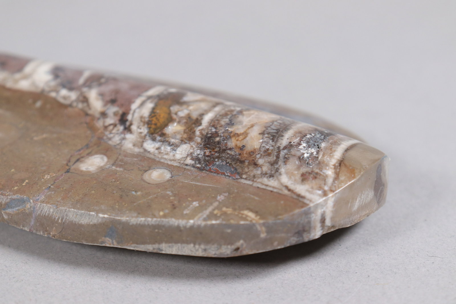 Lots fossilized item - 3