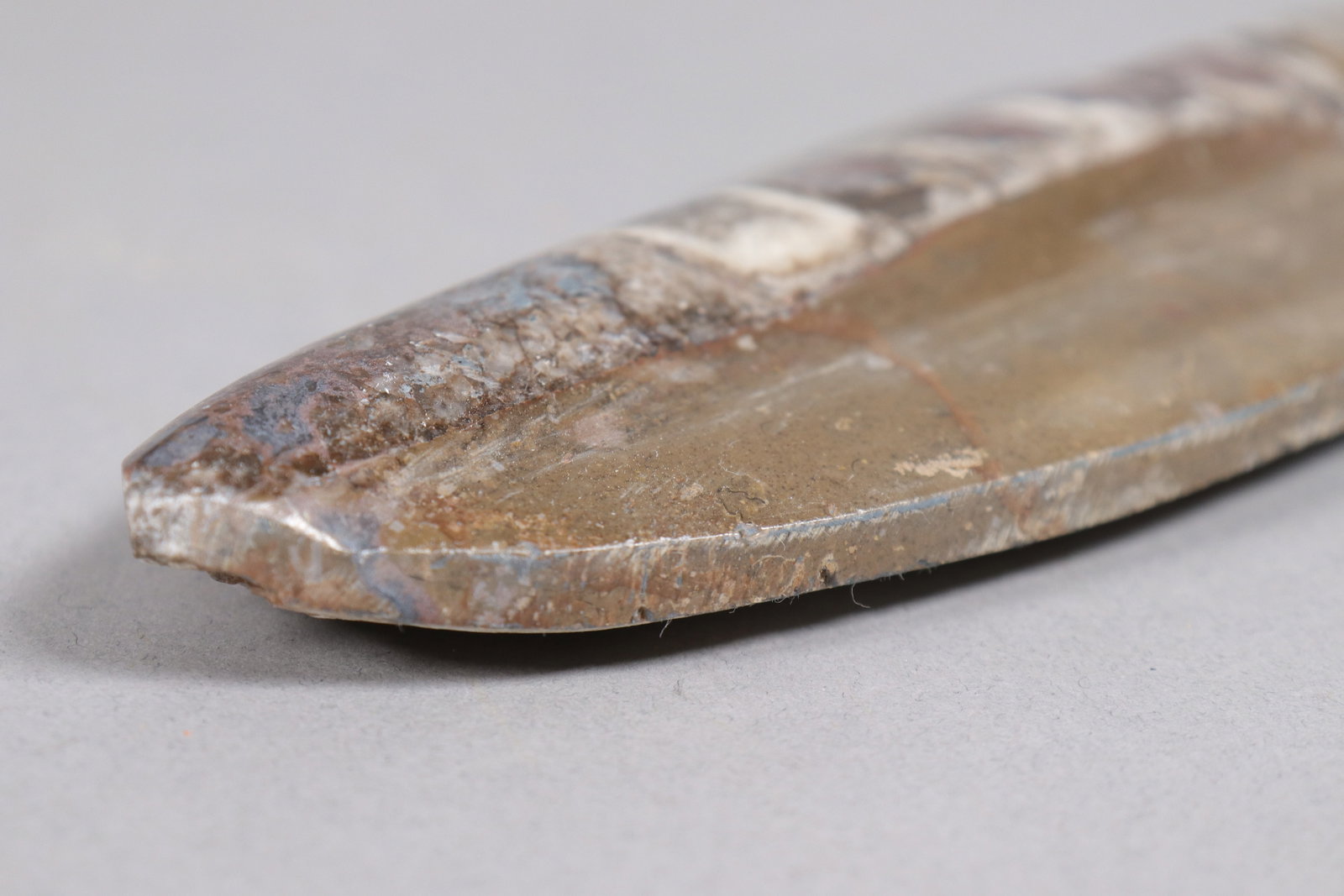 Lots fossilized item - 4