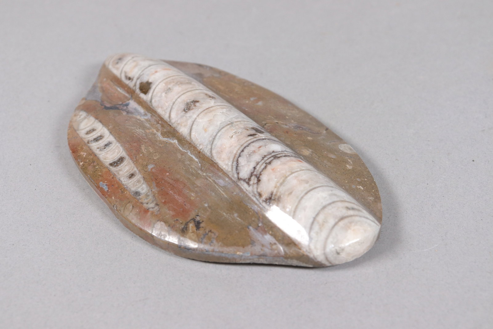 Lots fossilized item - 5