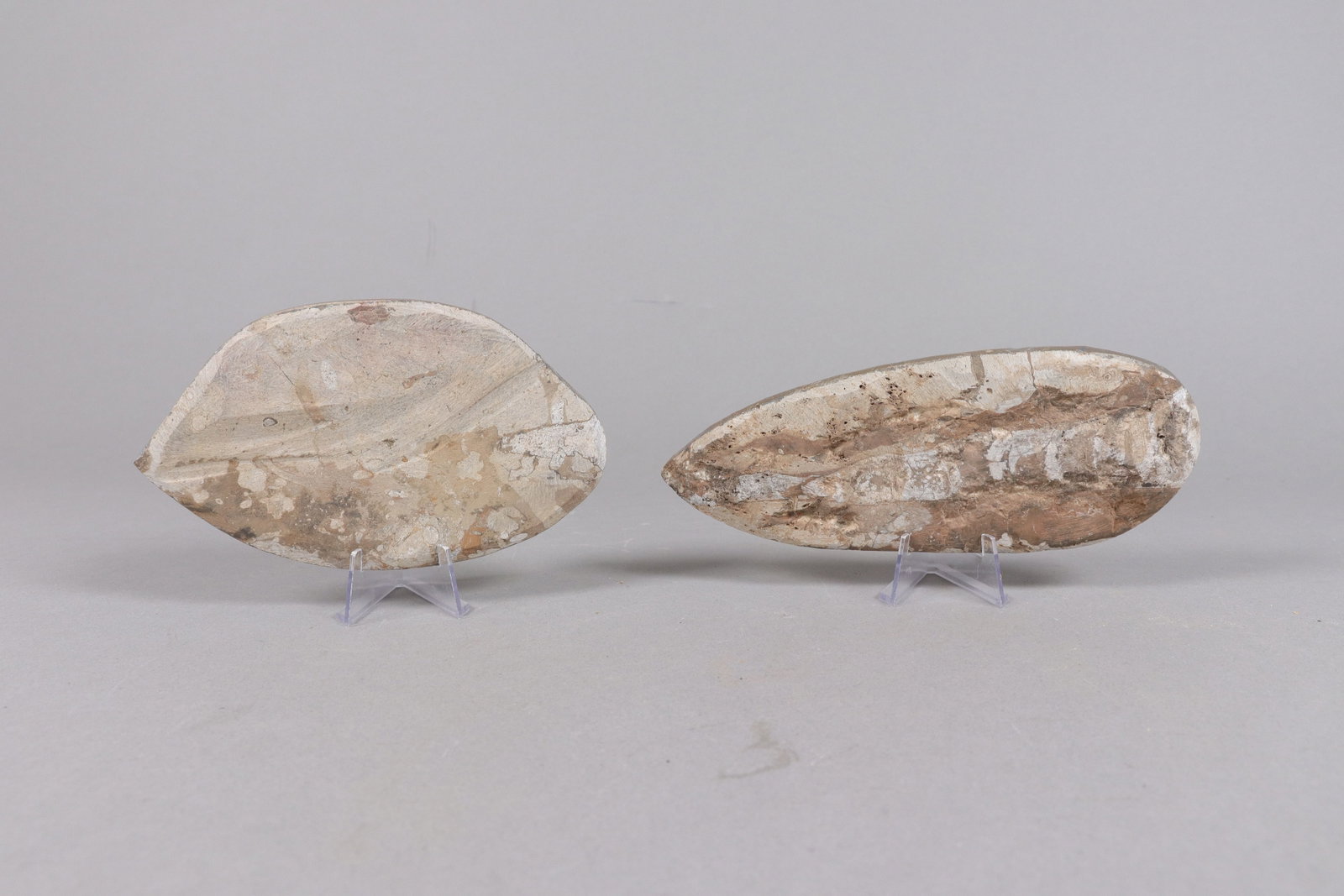 Lots fossilized item - 6