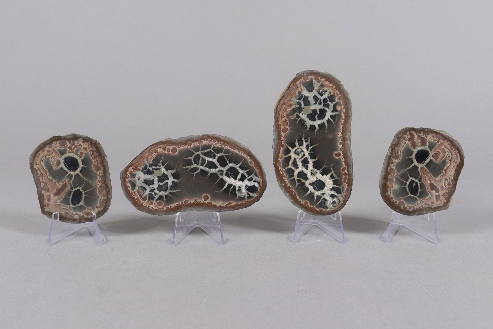 Lots fossilized item estate: Lots fossilized item, from an estate. All sales are final, no return.