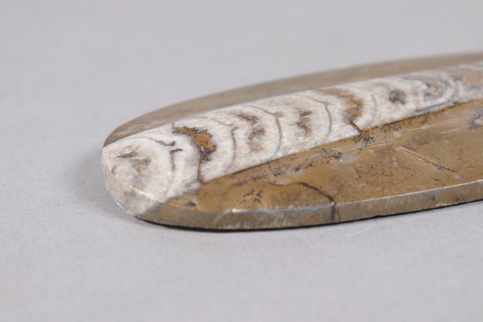 2 fossilized items - 3