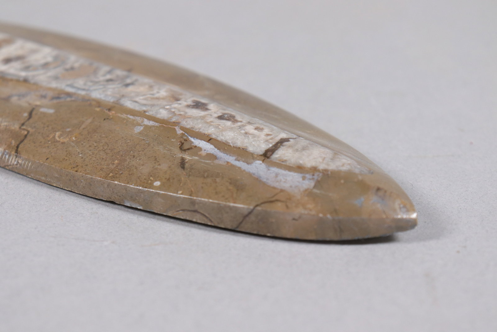 2 fossilized items - 4