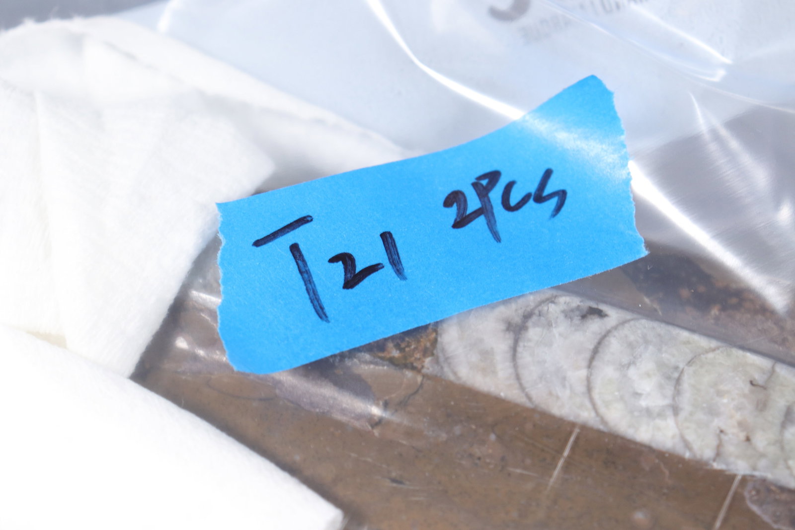 2 fossilized items - 6