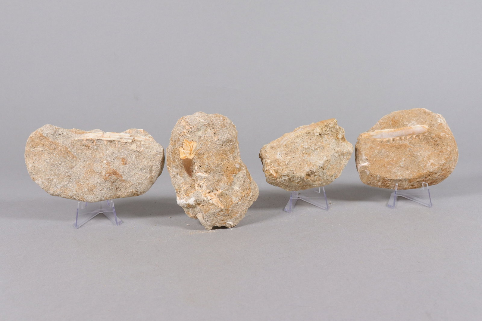 Lots estate boulders: Lots estate boulders.