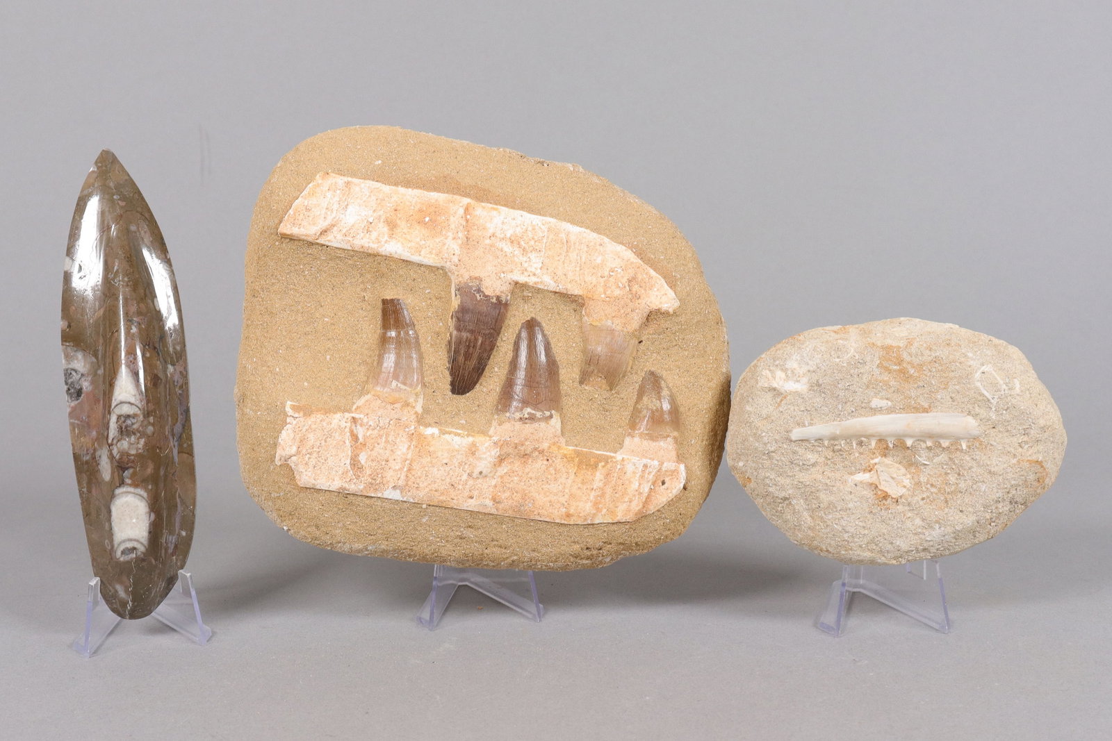 Lots estate boulders: Lots estate boulders.