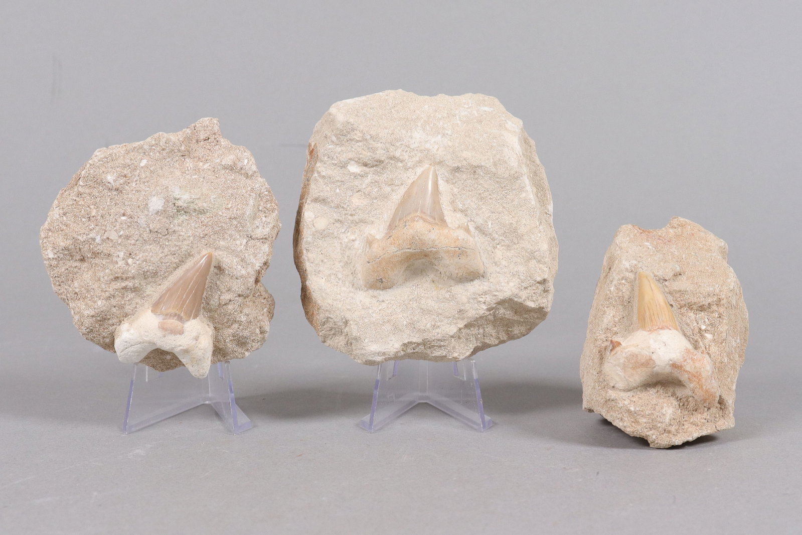 Lots estate boulders: Lots estate boulders.