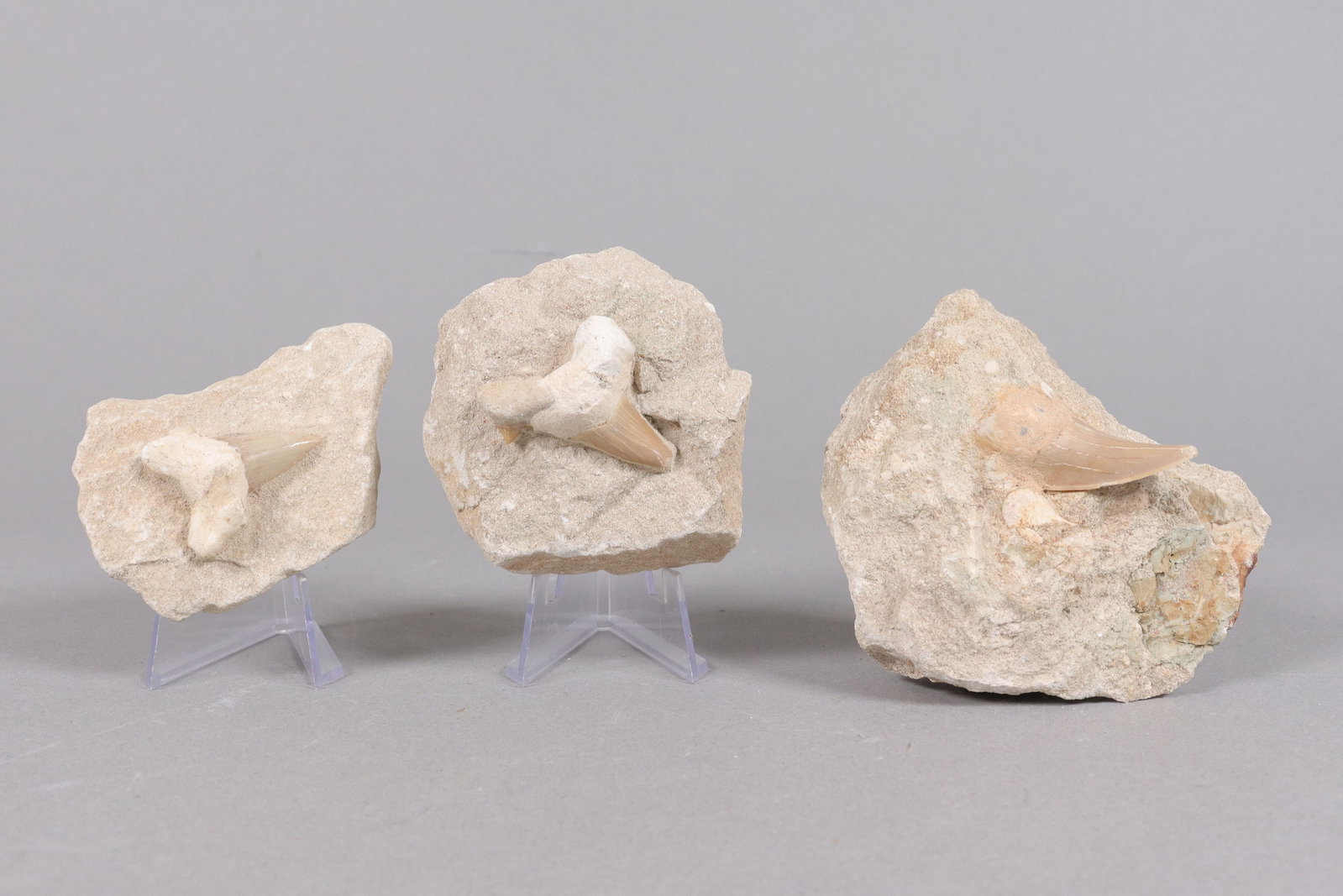 Lots estate boulders: Lots estate boulders.