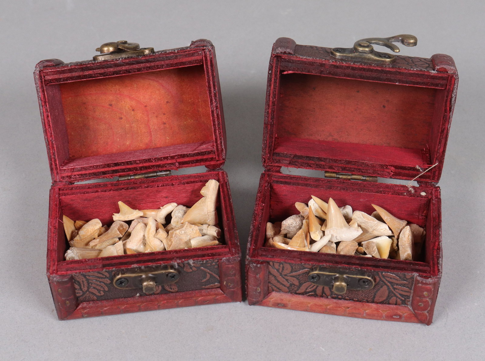 Lots fine carved tooth: Lots fine carved tooth.