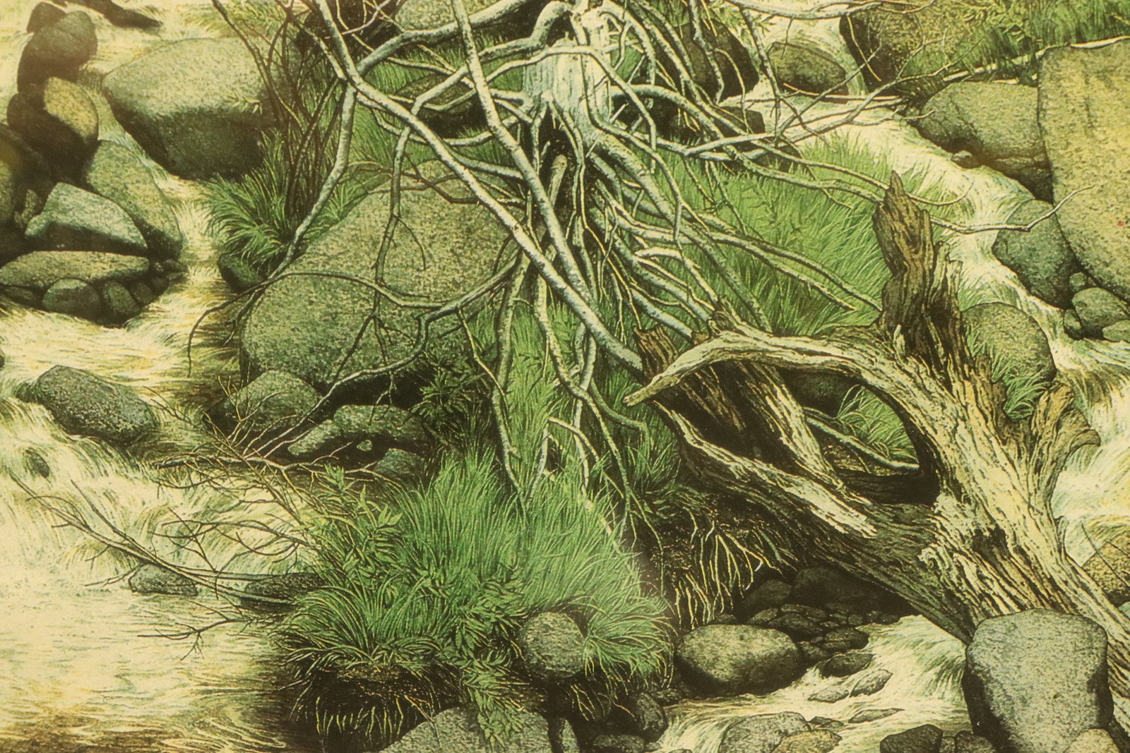Bev Doolittle framed art - 6