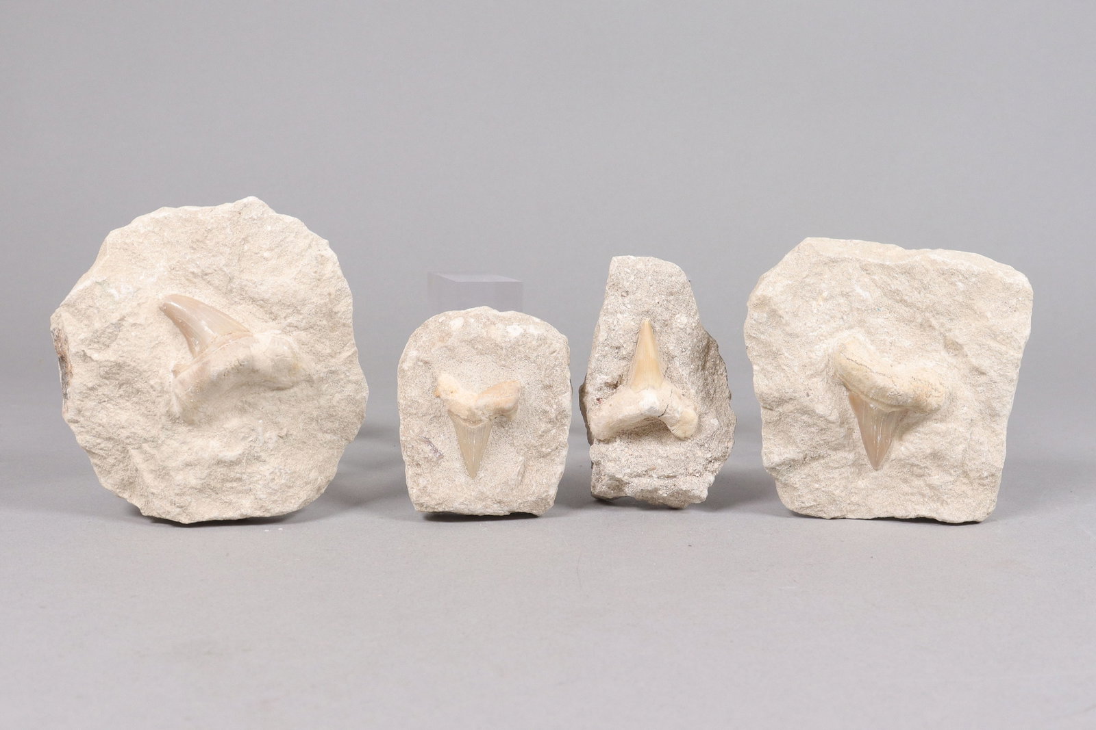 Lots estate carved boulder: Lots estate carved boulder. All sales are final, no return.