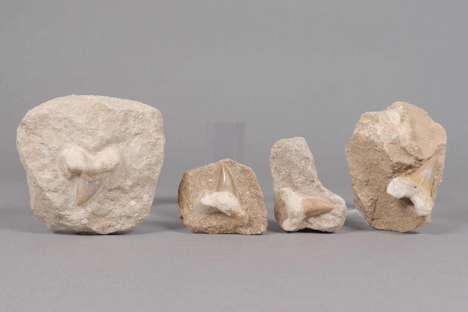 Lots estate carved boulder: Lots estate carved boulder. All sales are final, no return.