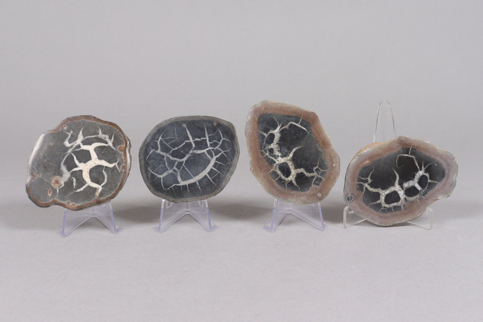 Lots fossilized items: Lots fossilized items. All sales are final, no return.