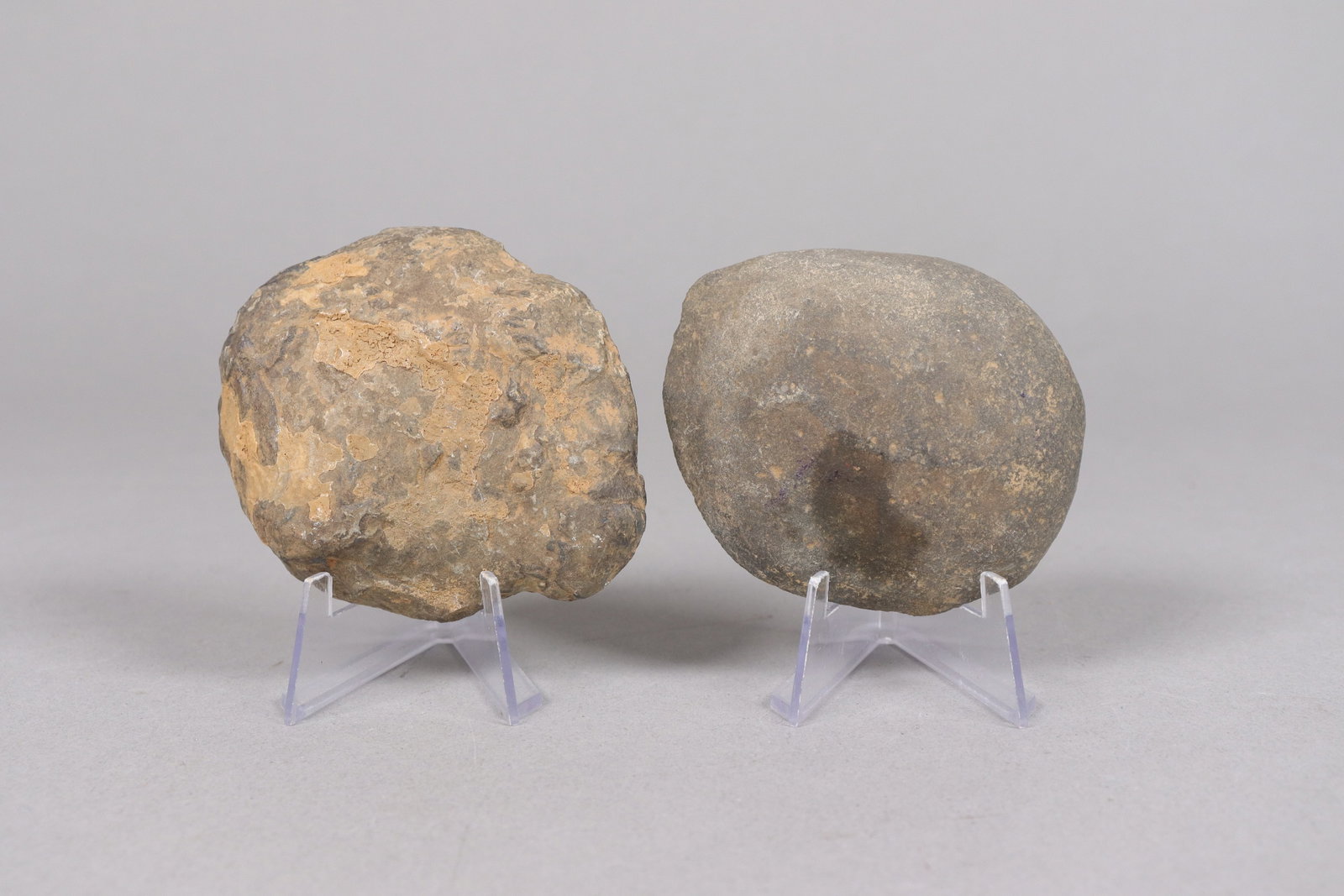 Lots fossilized items - 4