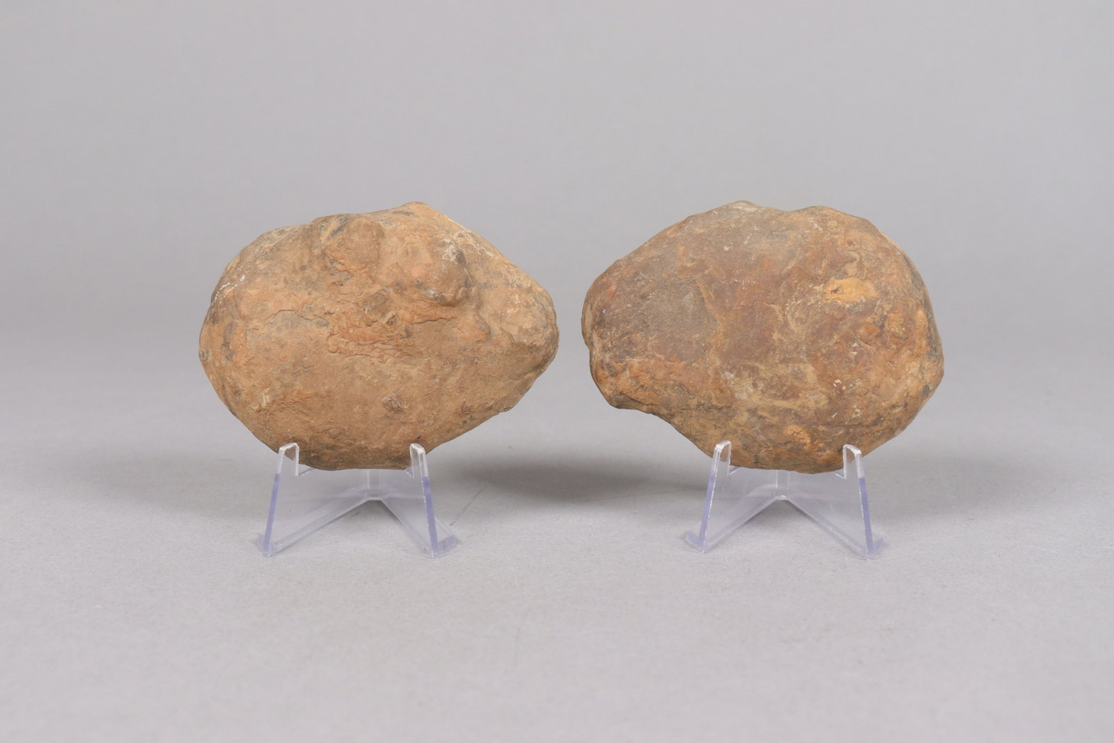 Lots fossilized items - 6