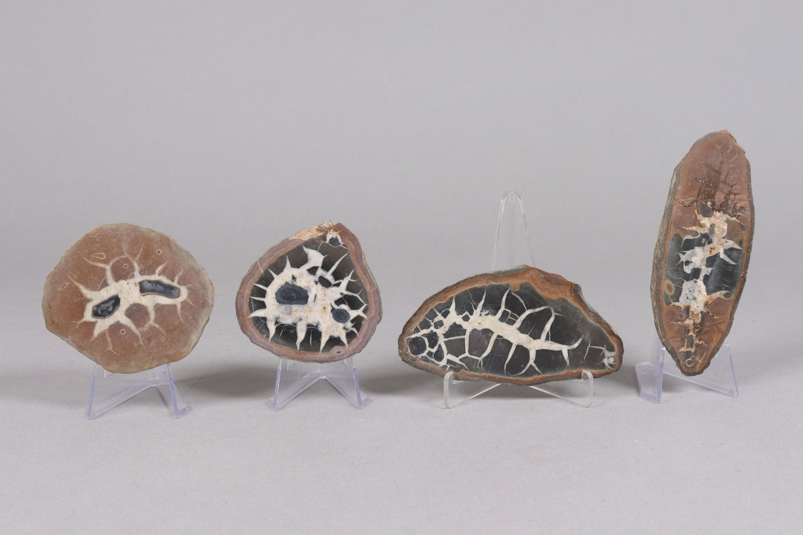 Lots fossilized items: Lots fossilized items. All sales are final, no return.