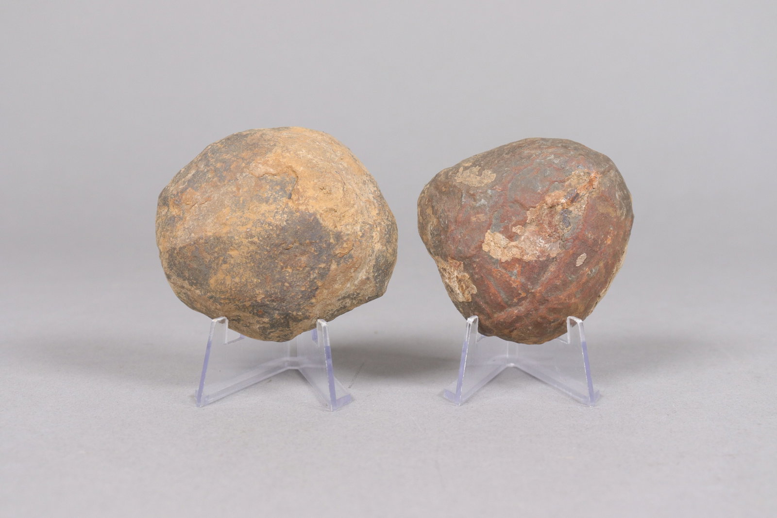 Lots fossilized items - 4