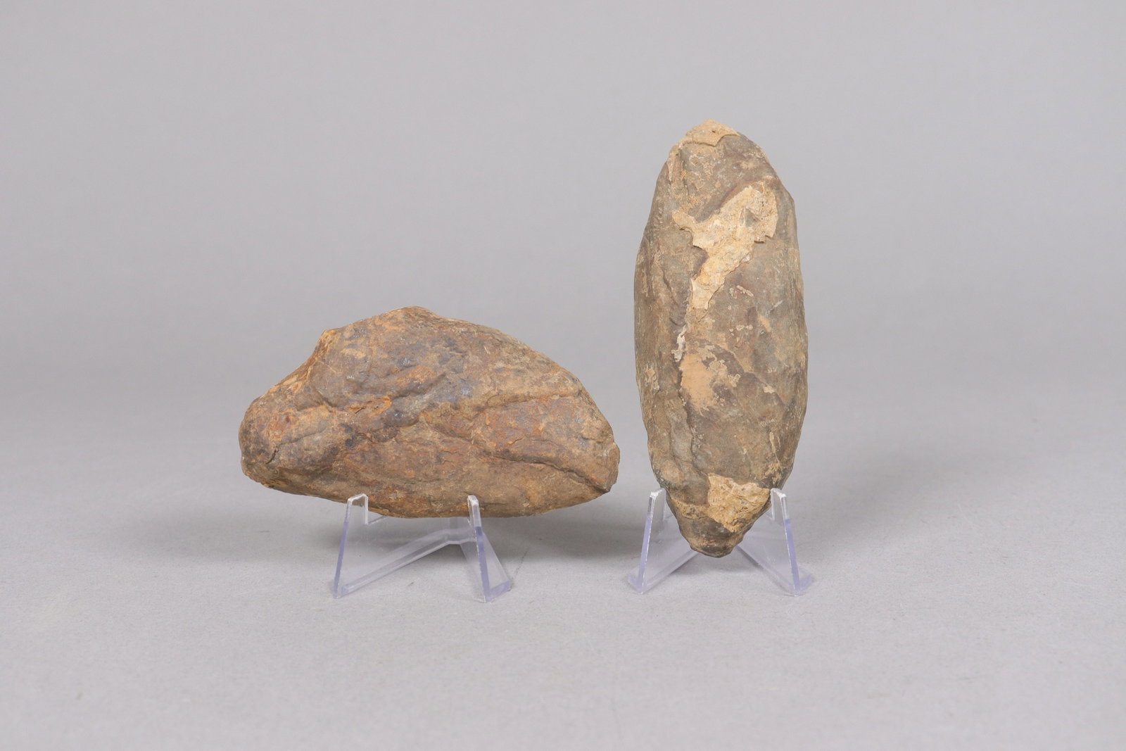 Lots fossilized items - 6