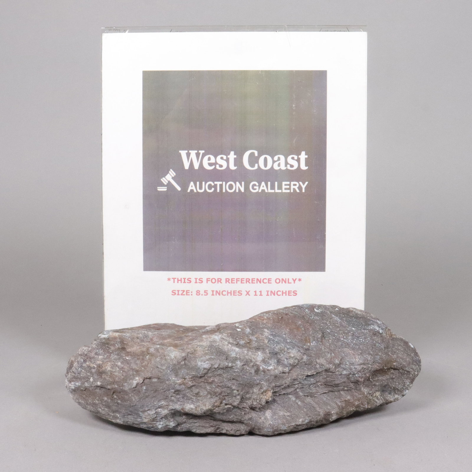 A fine large meteorite - 2