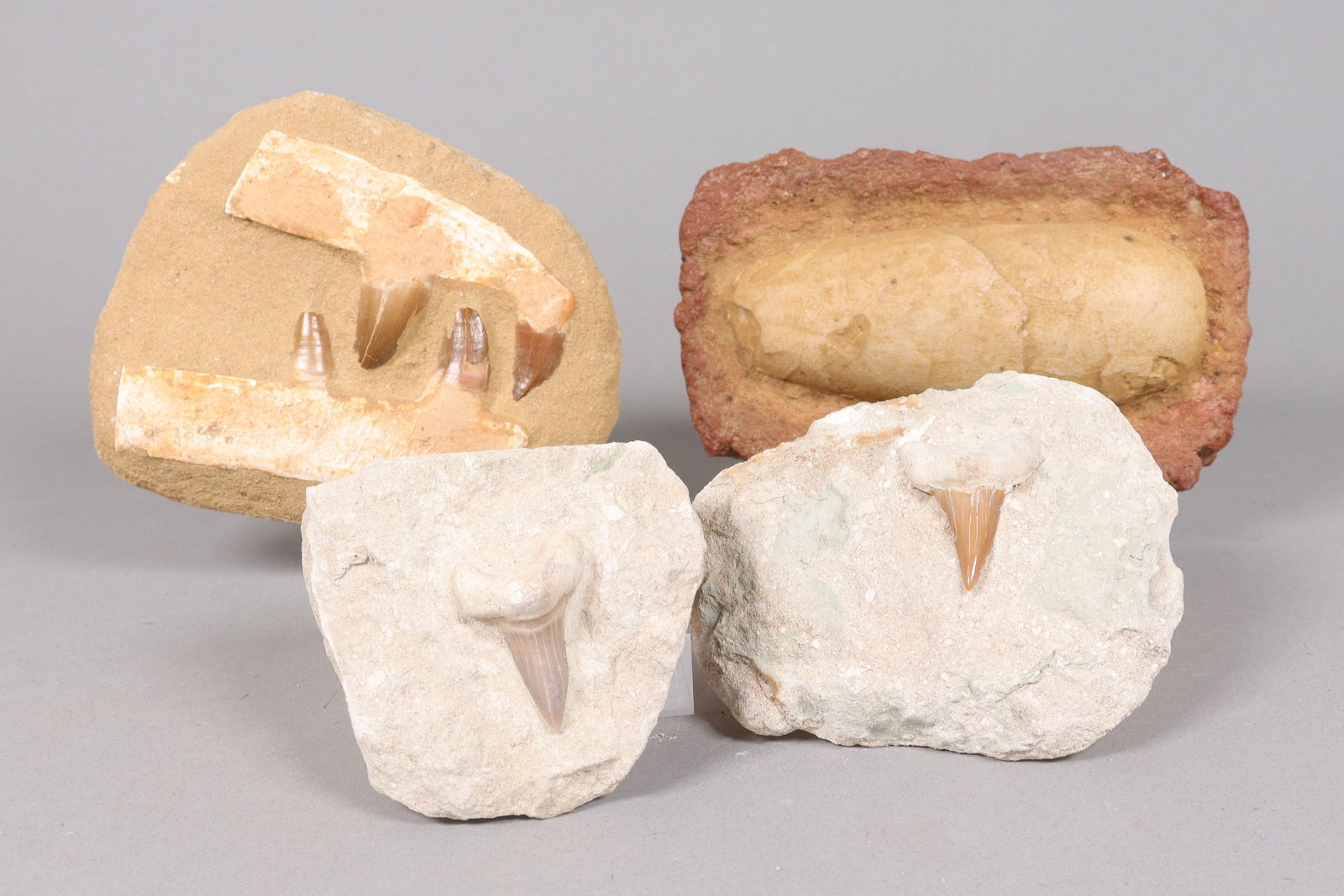 Lots estate carved boulders: Lots estate carved boulders. All sales are final, no return.
