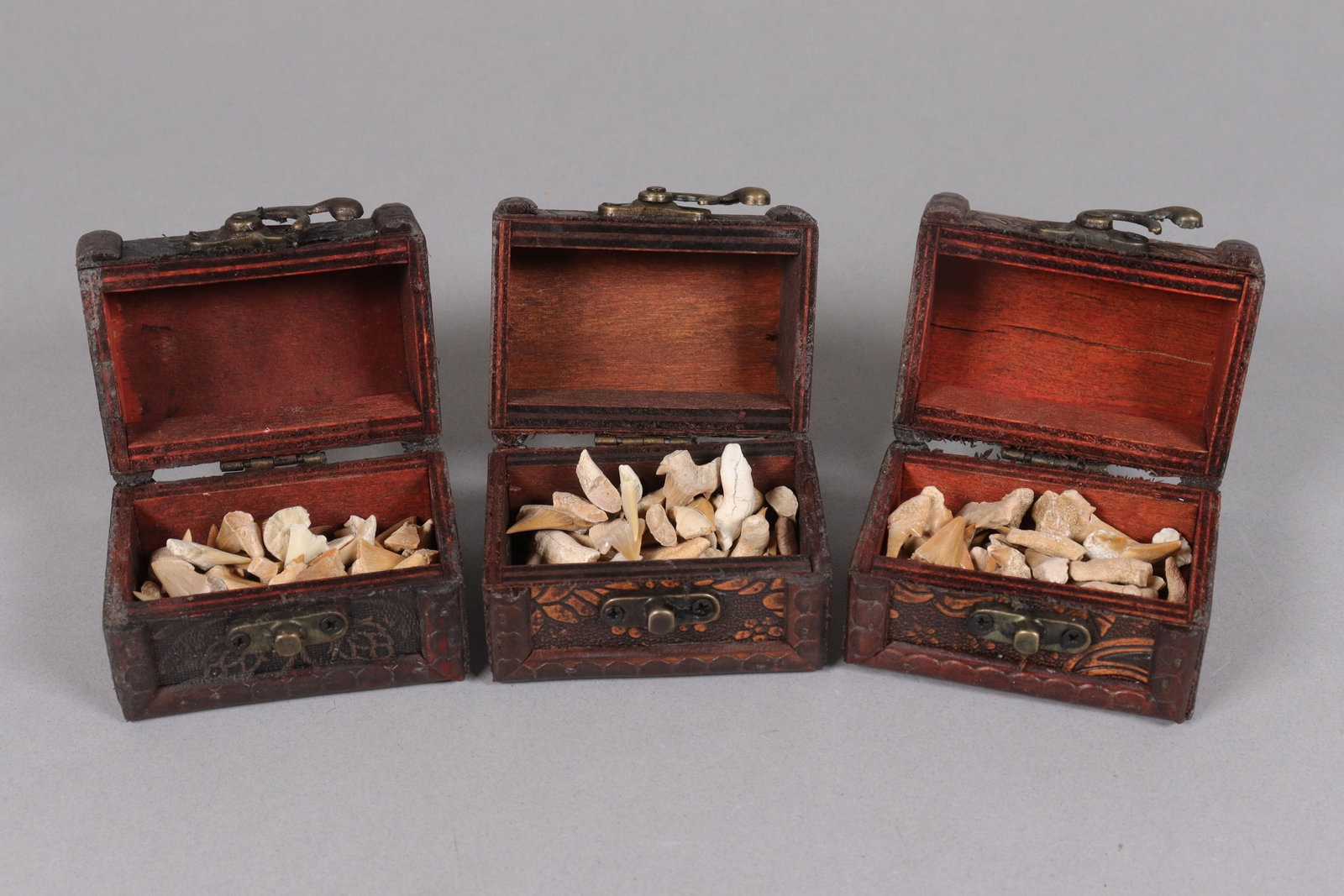 Lots estate tooth: Lots estate tooth.