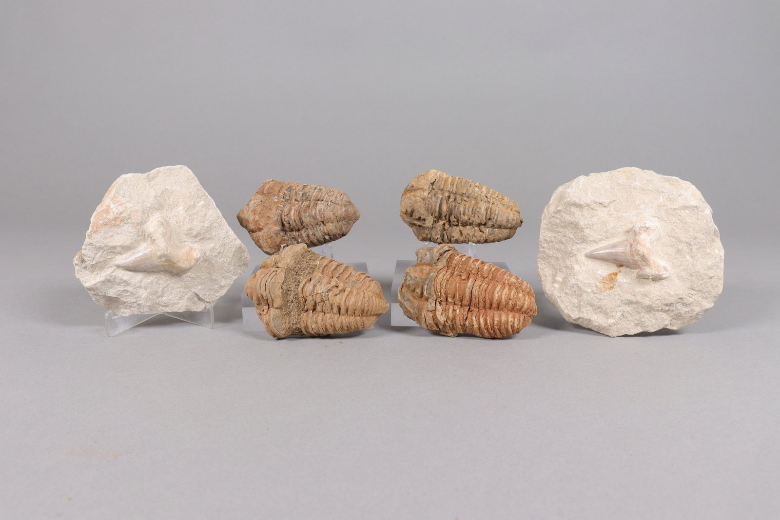 Lots Chinese fossilized items: Lots Chinese fossilized items. All sales are final.