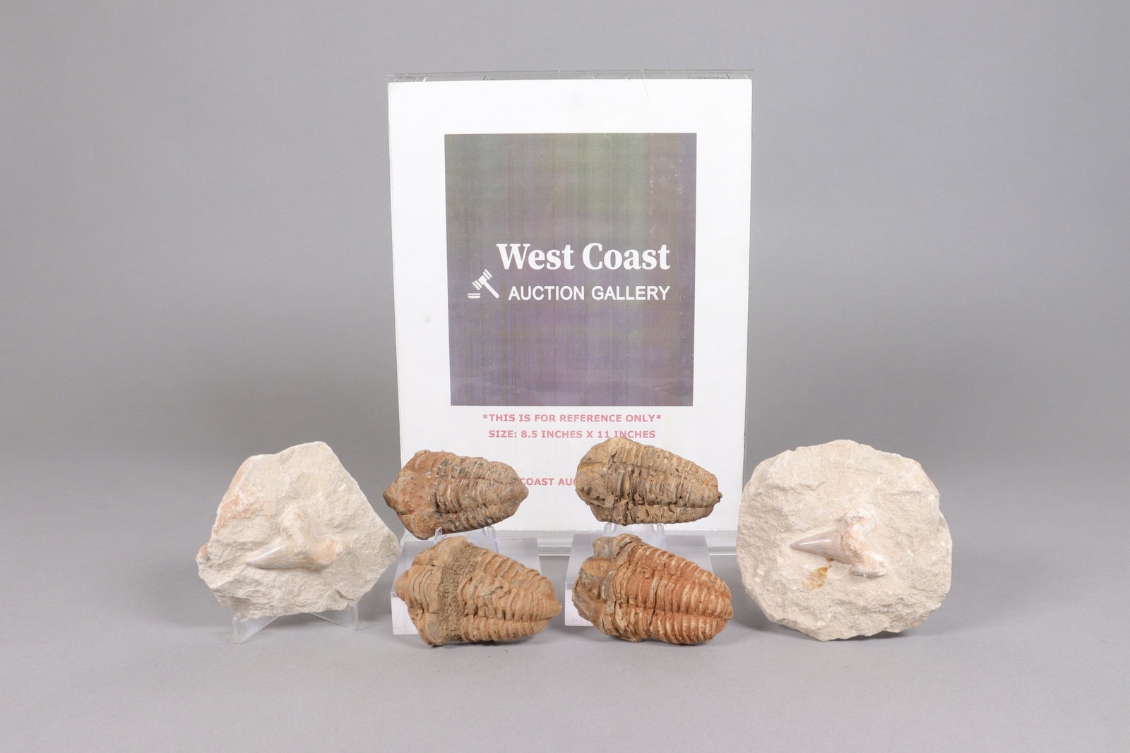 Lots Chinese fossilized items - 2