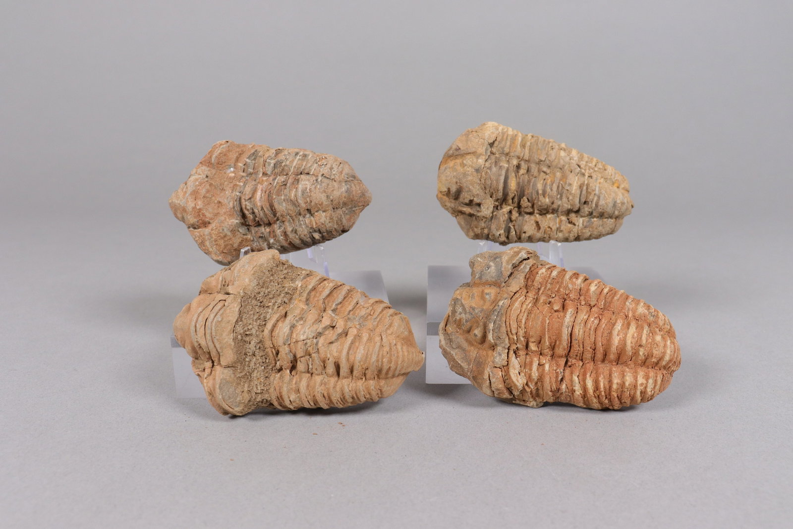 Lots Chinese fossilized items - 3