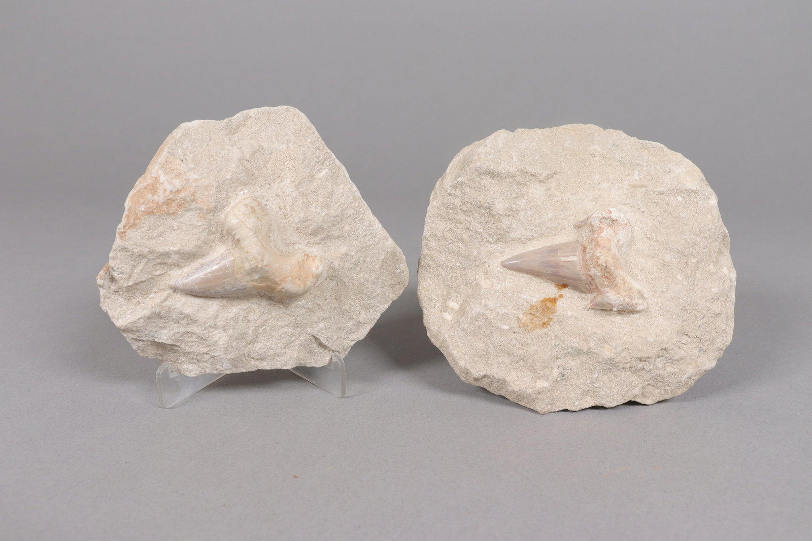 Lots Chinese fossilized items - 5