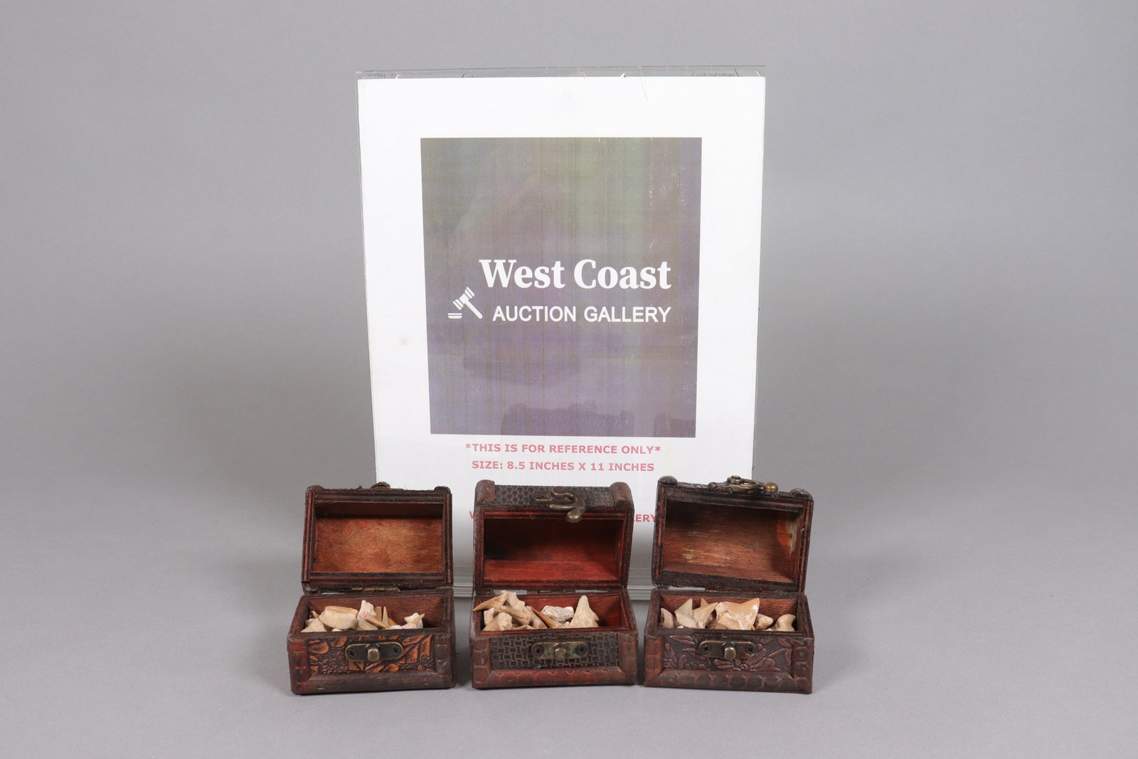 Lots fine tooth in box - 2