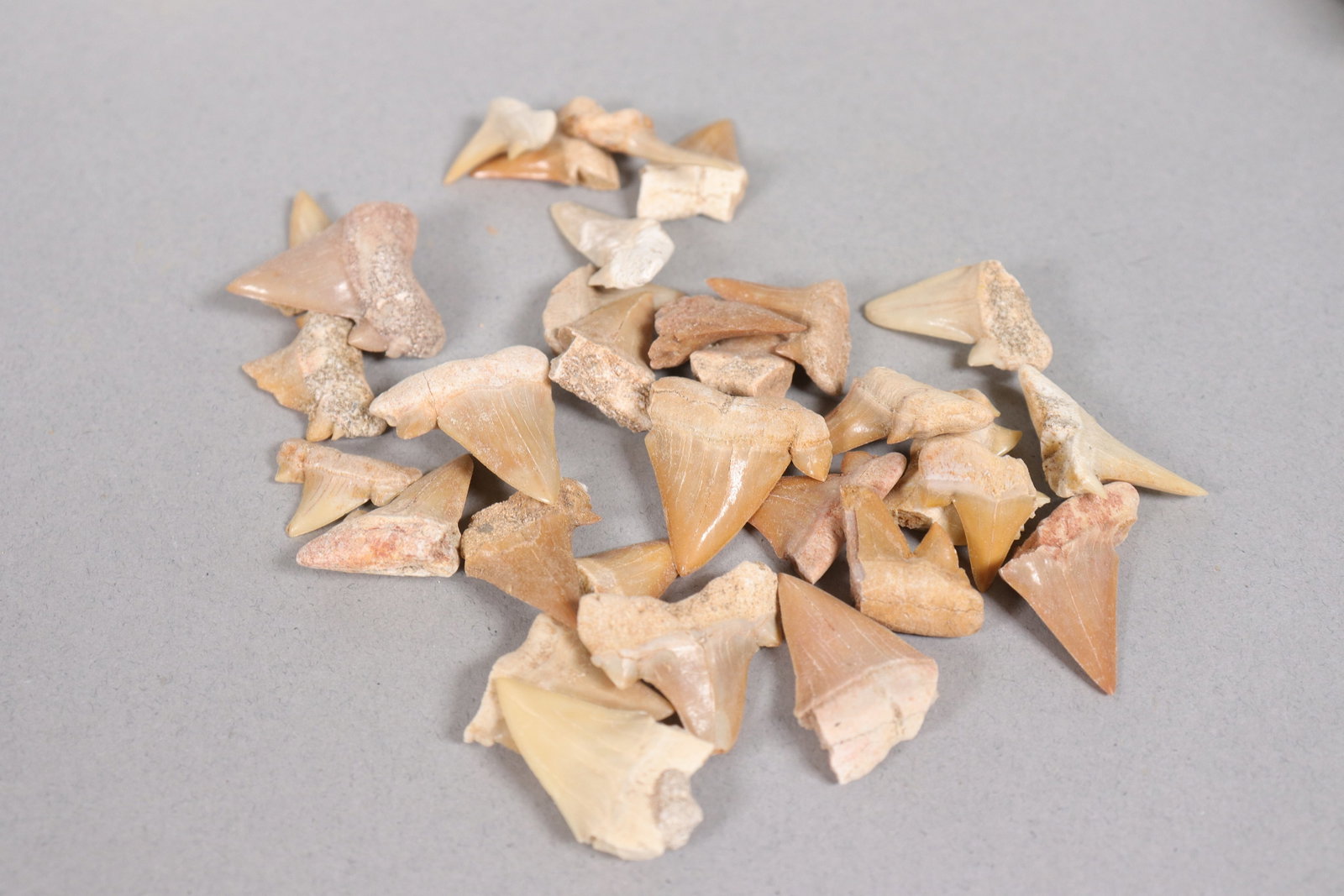 Lots fine tooth in box - 3