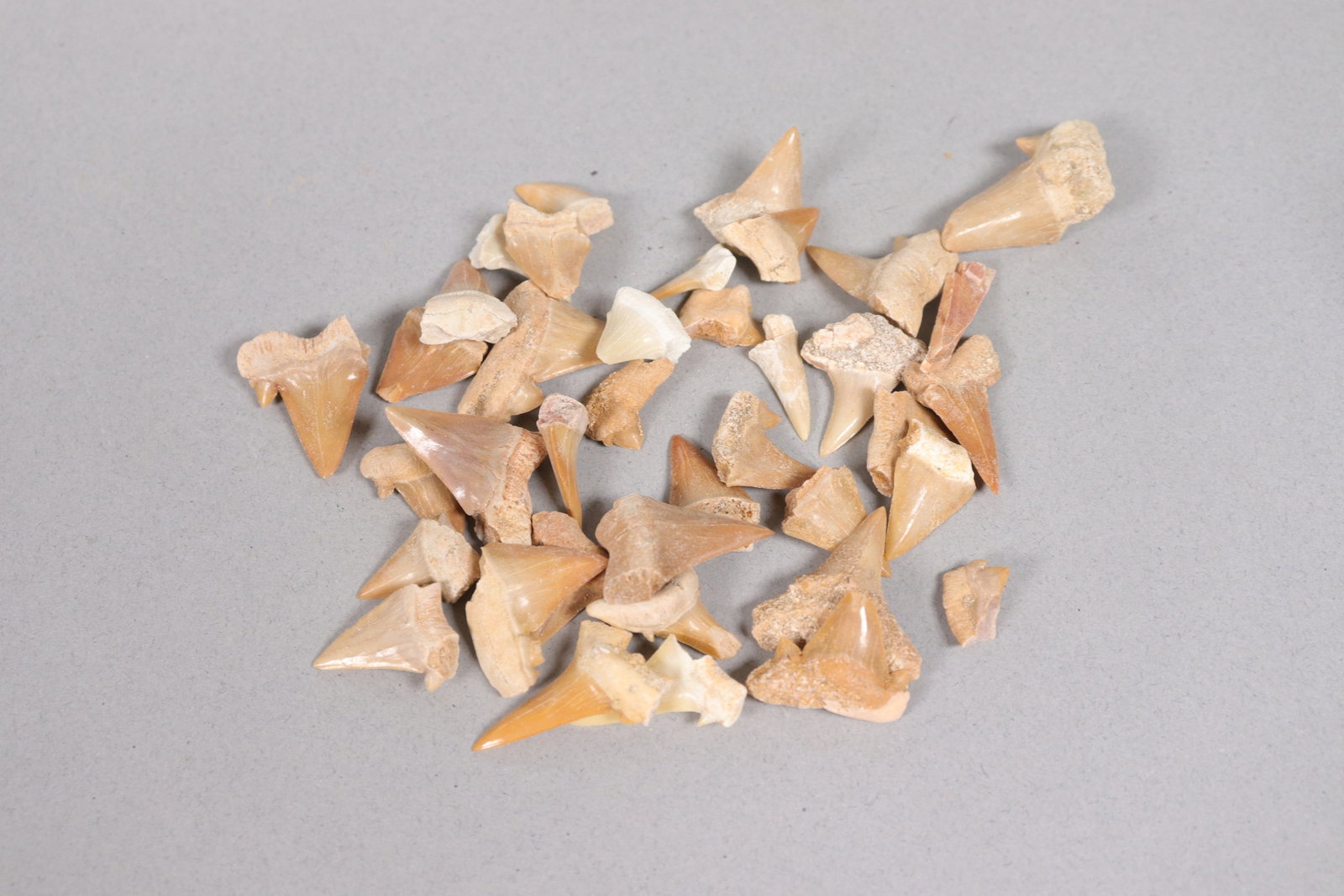 Lots fine tooth in box - 4