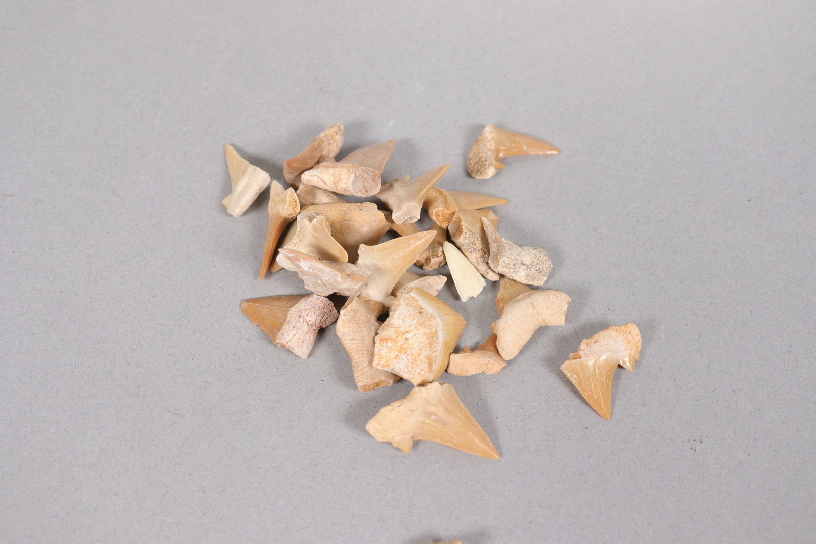 Lots fine tooth in box - 5