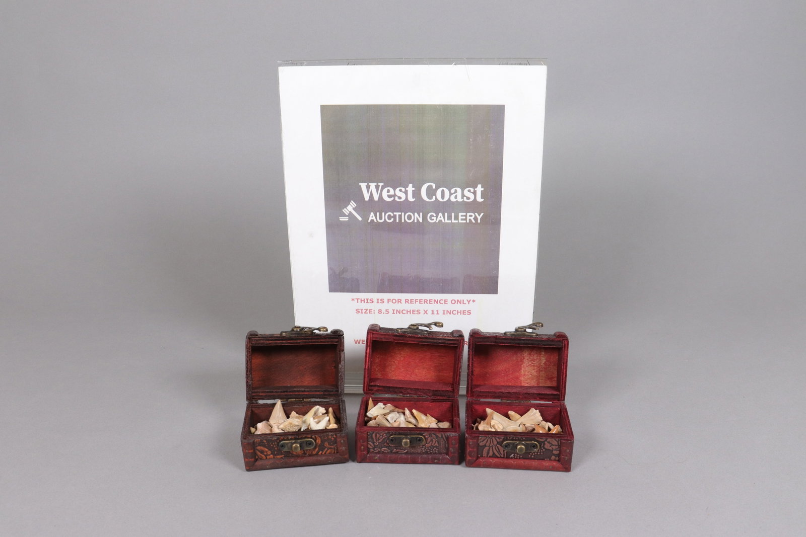 Lots fine tooth in box - 2