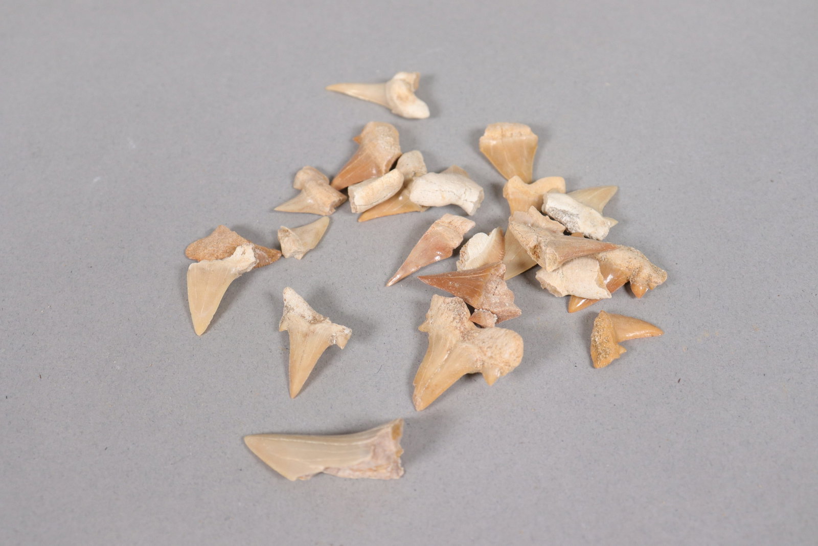 Lots fine tooth in box - 3