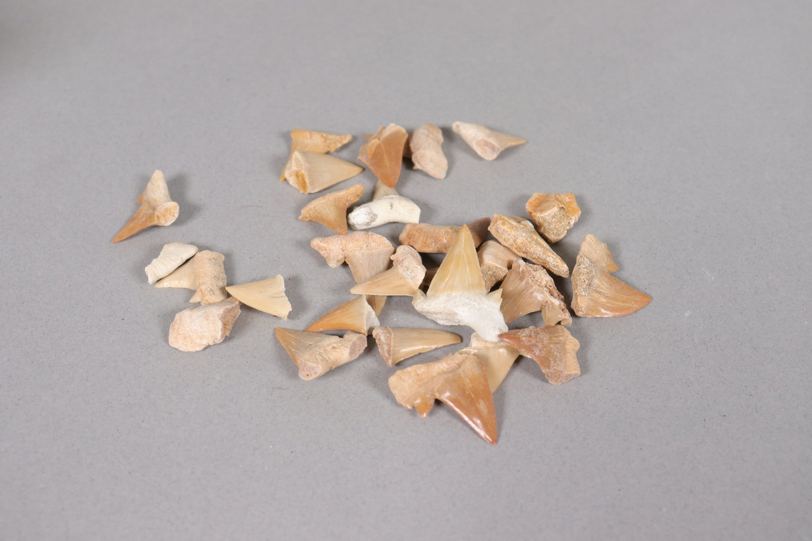 Lots fine tooth in box - 4