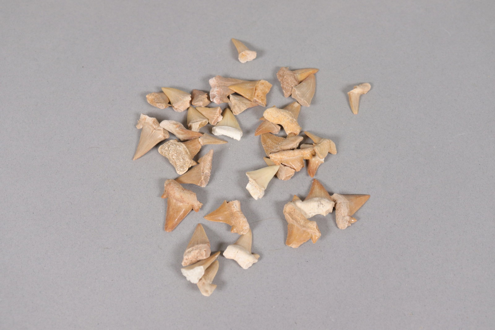 Lots fine tooth in box - 5