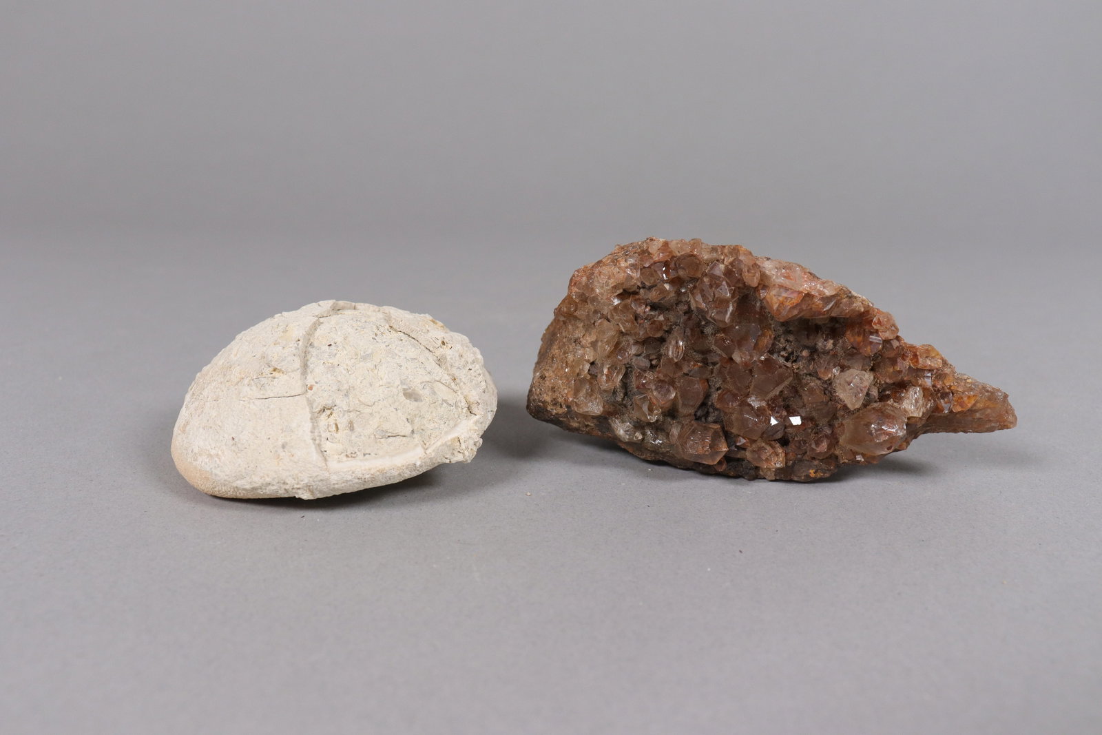 Lots fossilized items - 5