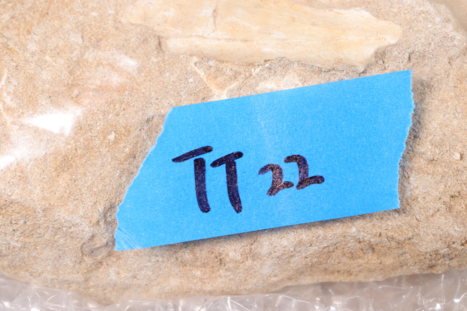Lots fossilized items - 8
