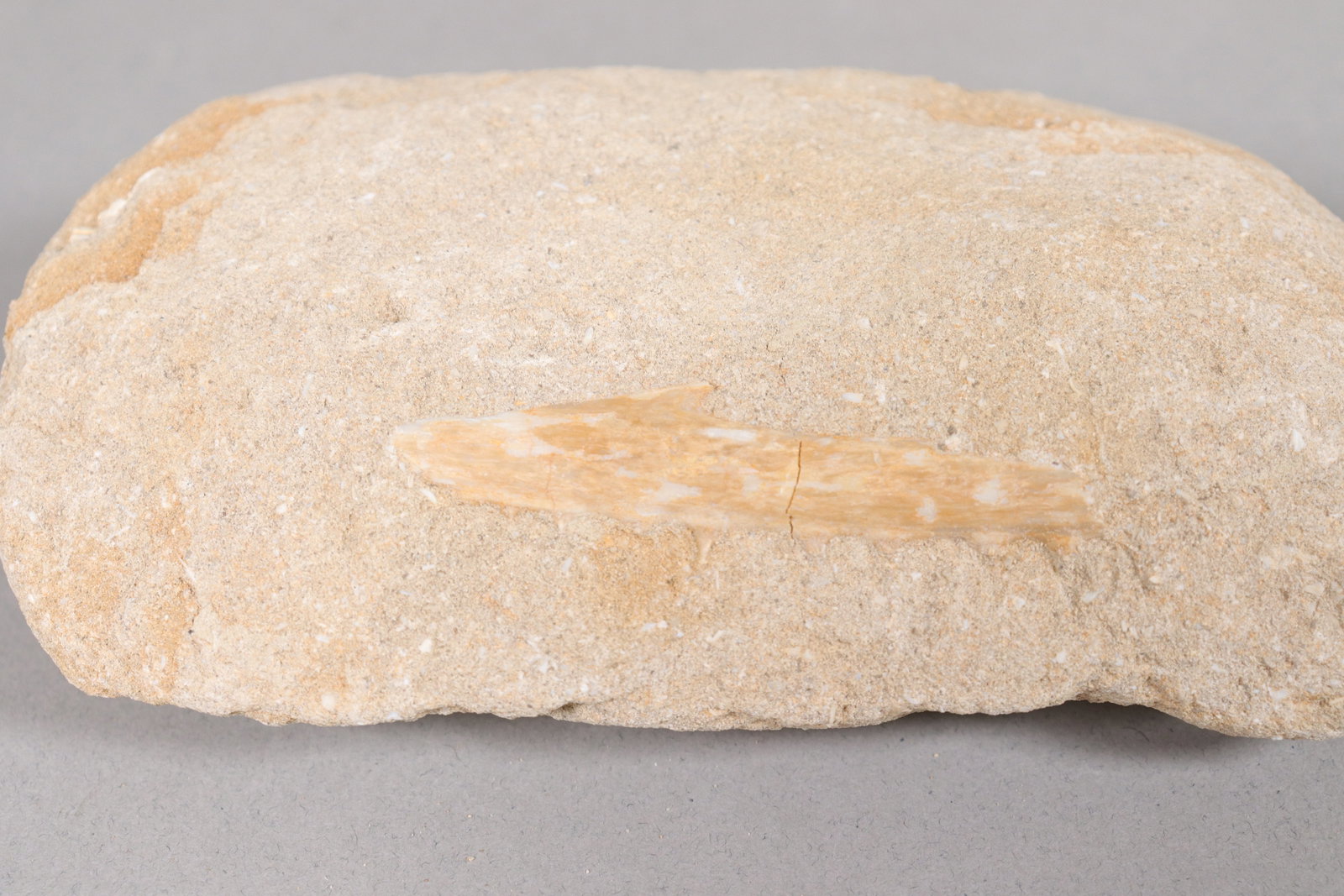 Lots fossilized items - 5