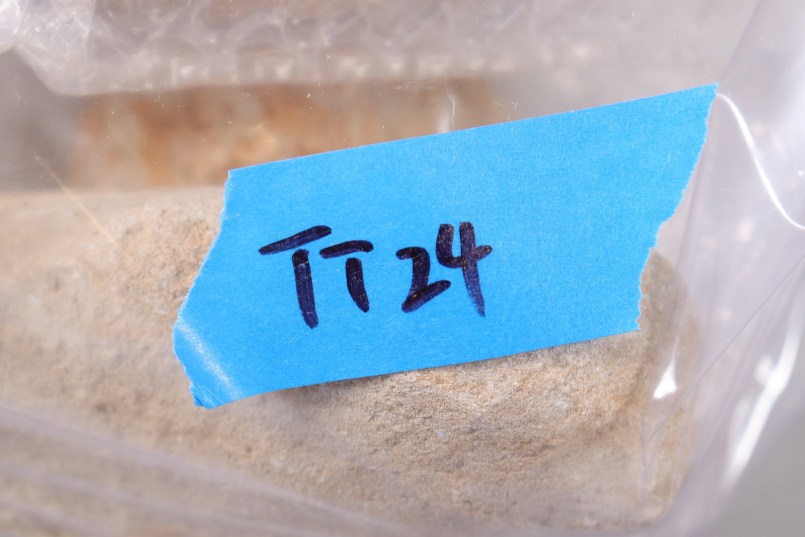 Lots fossilized items - 7