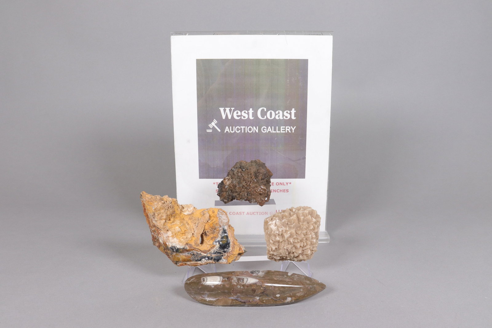 Lots geodes specimen - 2