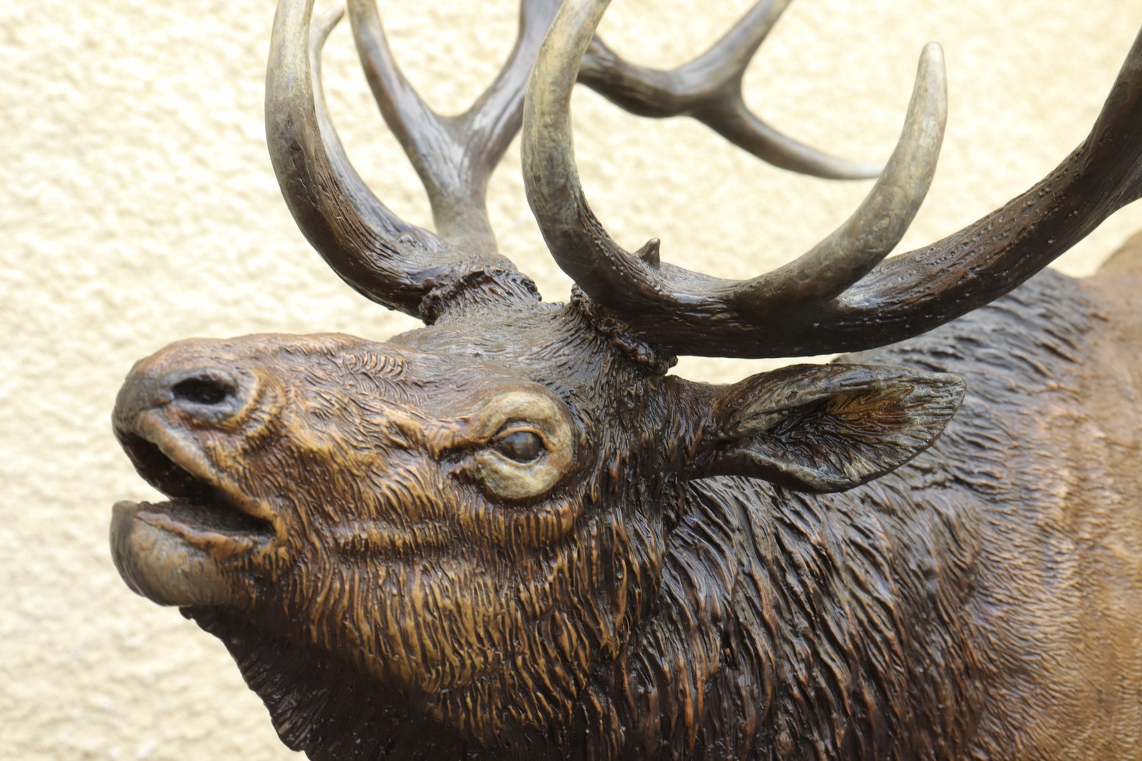 Devin Rowe bronze statue - 4