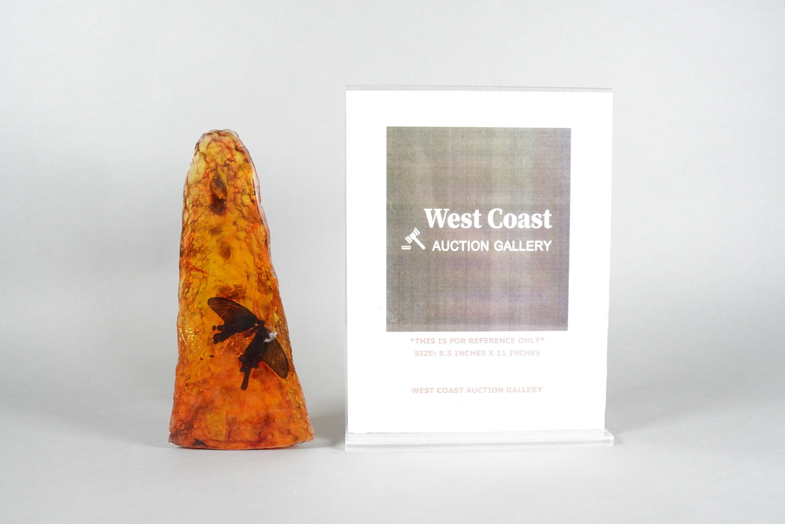 Amber boulder with insect - 2