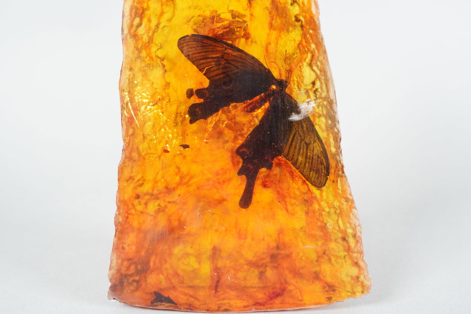 Amber boulder with insect - 3