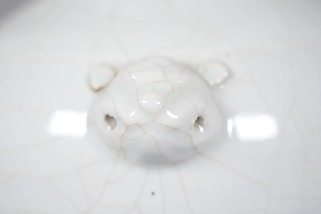 Chinese fine crackled jar - 5